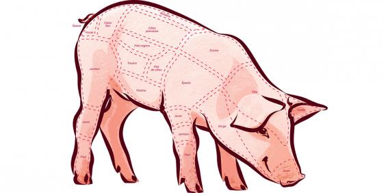 porc découpes