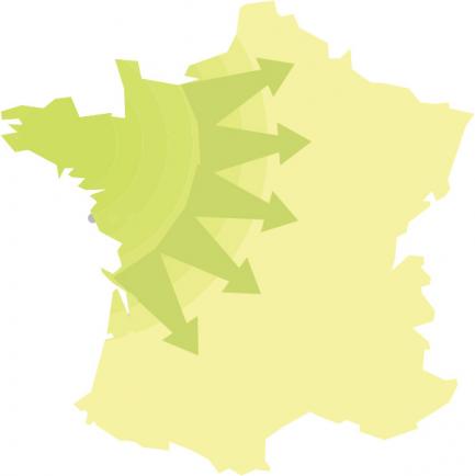 Plus de 3000 livraisons/jour assurées sur le territoire national